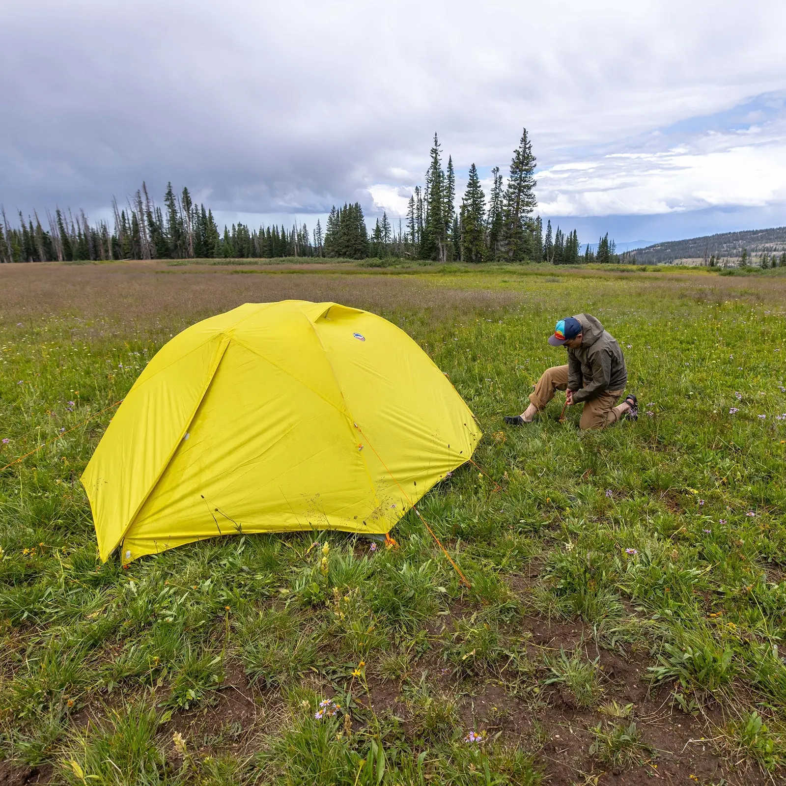 Blacktail 2 - Warm Olive - Image 8