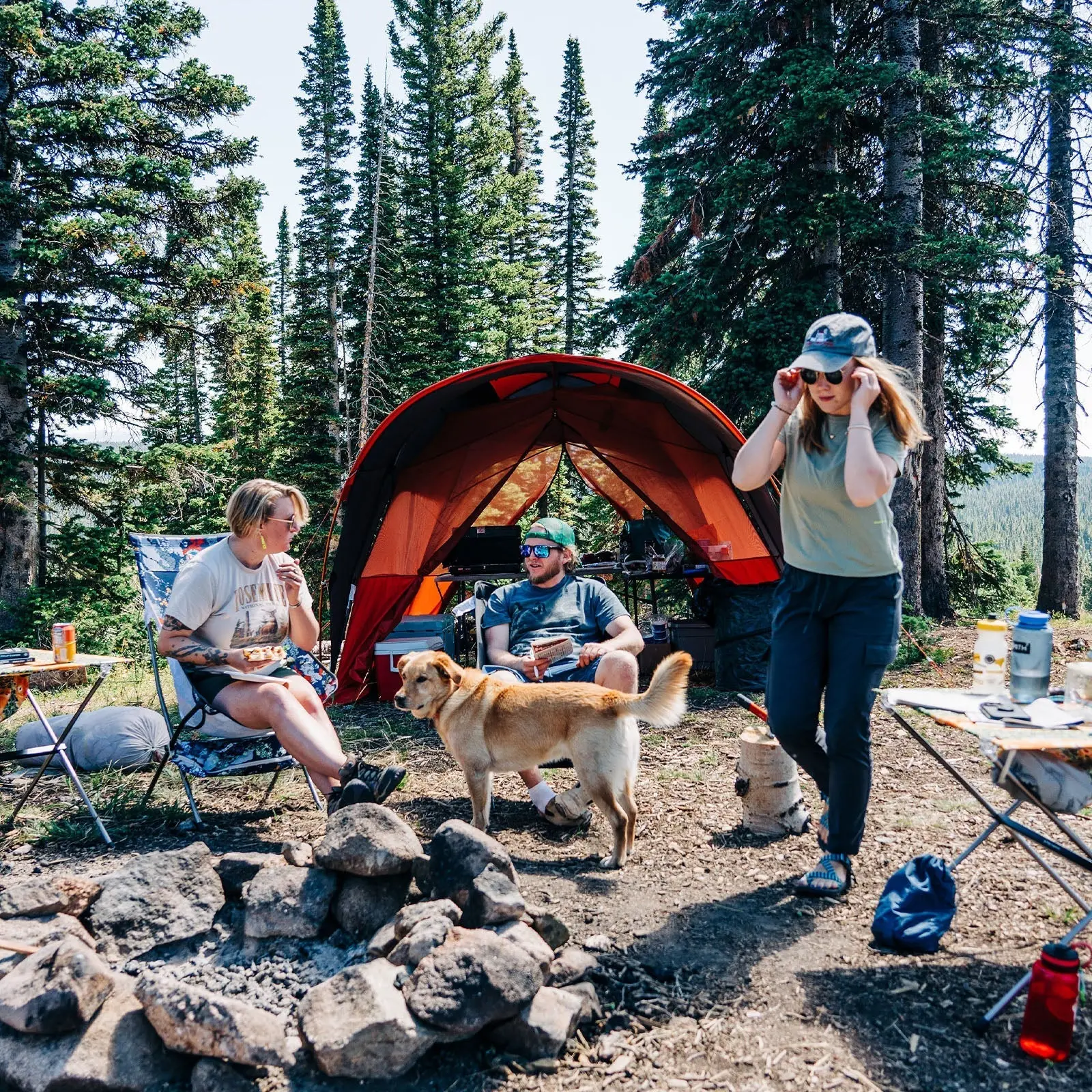 Sage Canyon Shelter Deluxe - Image 5